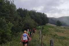 Verso3faggi